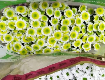 Заглянем в отдел срезанных цветов?